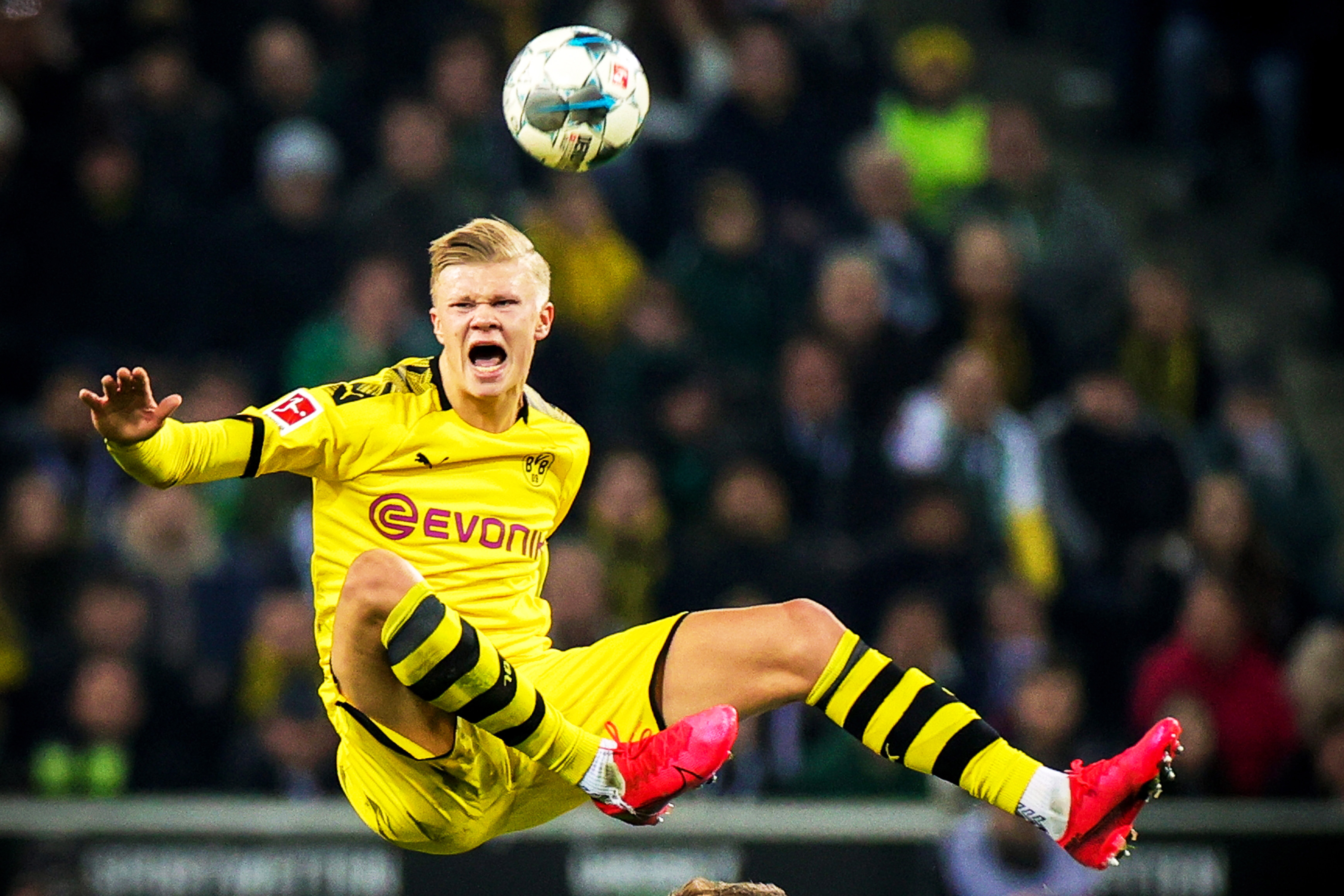 海港发布官方Vlog：旧将奇塔迪尼重回浦东足球场（海港推出官方Vlog：昔日旧将奇塔迪尼重返浦东足球场）