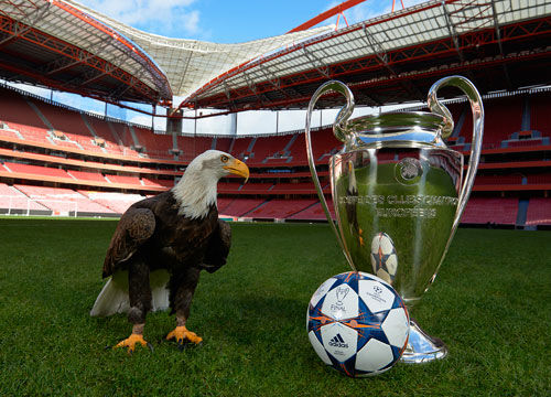 王博：过去荣耀已成历史，新赛季广厦以卫冕冠军姿态迎接挑战（王博：荣光已成过往，新赛季广厦以卫冕冠军之姿迎接挑战）